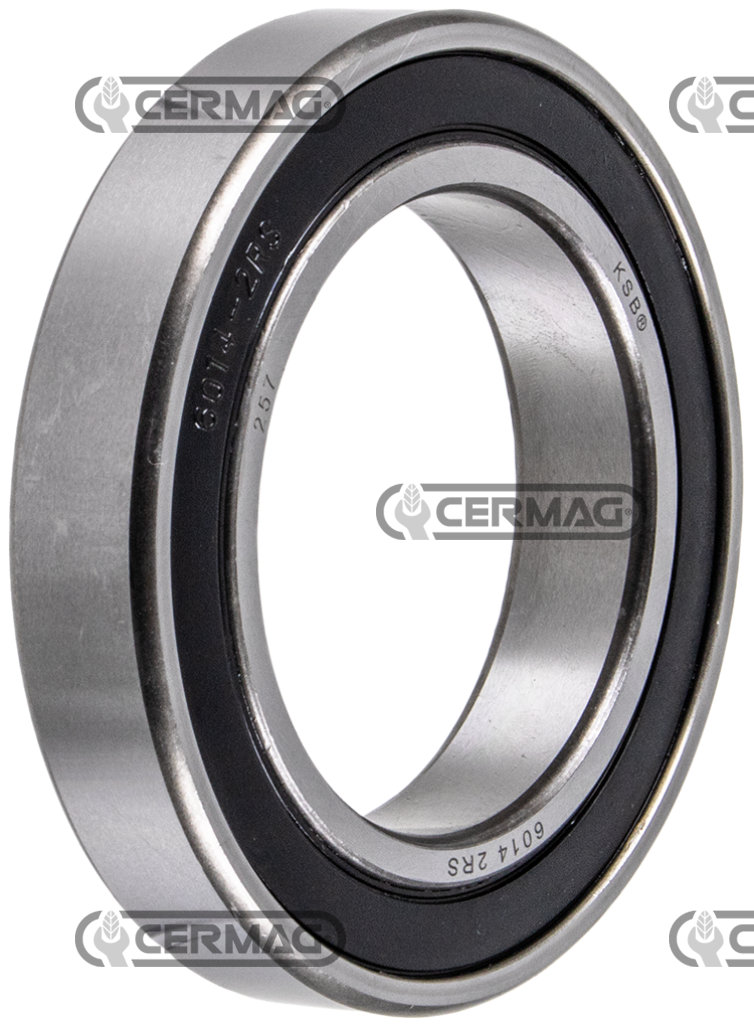 Cuscinetti radiali a sfere (Serie 6000-2RS)
